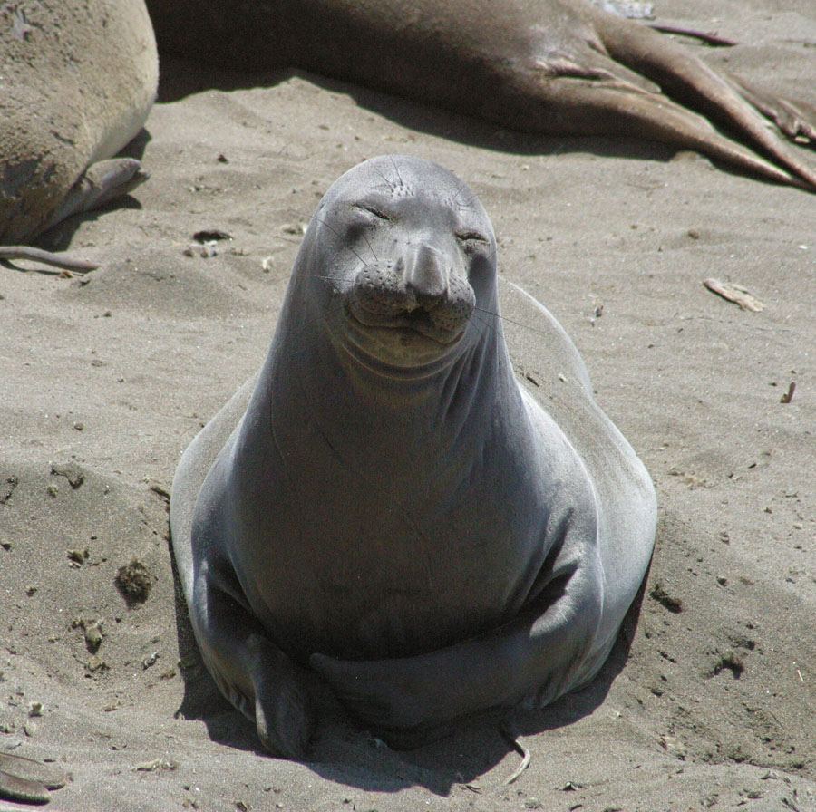 Wildlife photograph from the photo journal